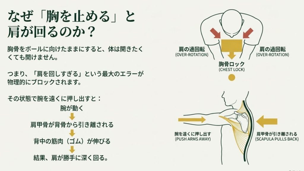 なぜ「胸を止める」と肩が回るのか?