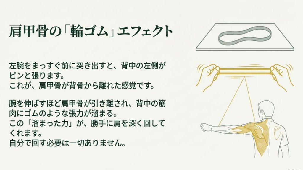 背中の筋肉をゴムにする「輪ゴム」エフェクト